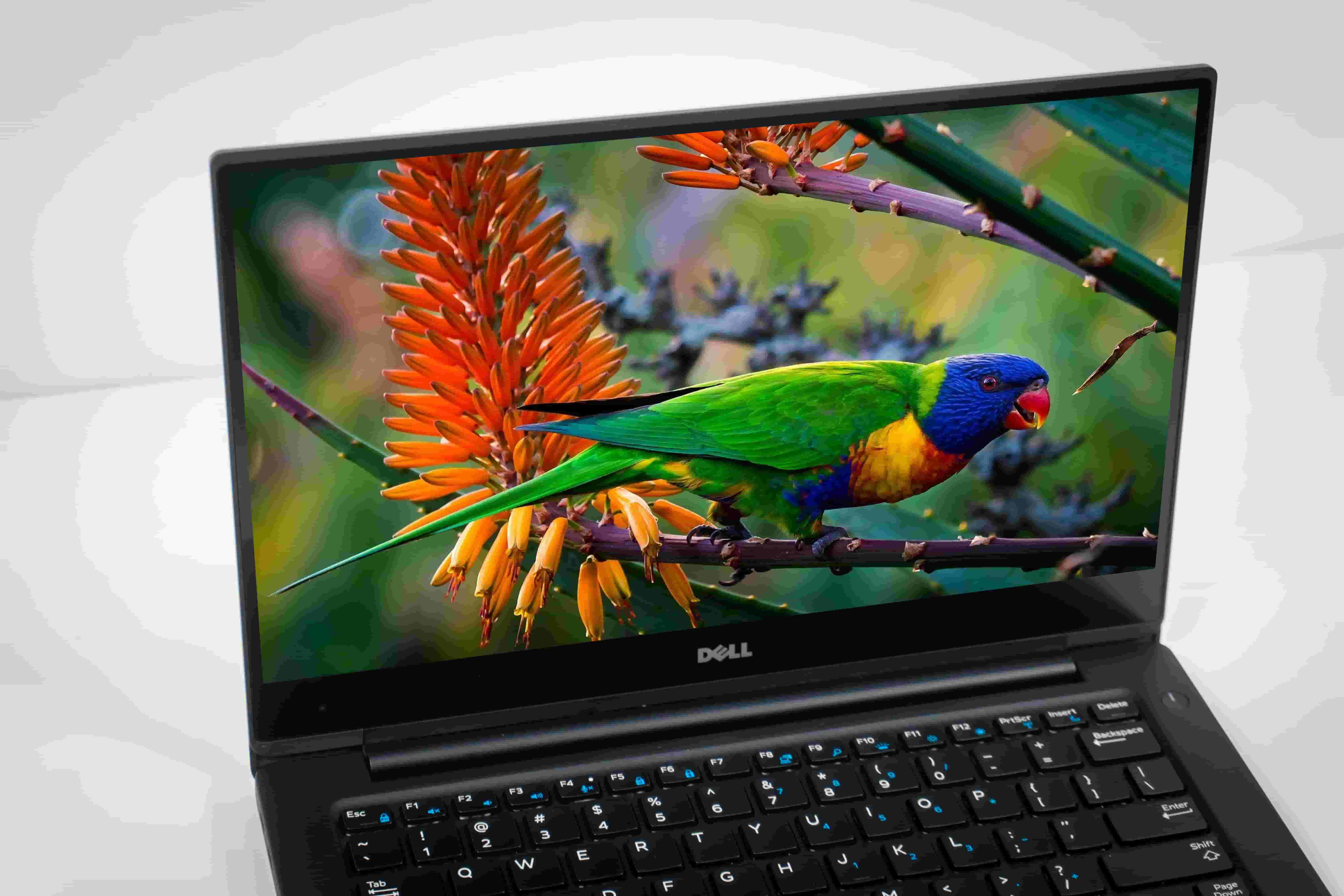 Check list những chiếc laptop Dell mỏng nhẹ dưới 15 triệu đáng mua nhất