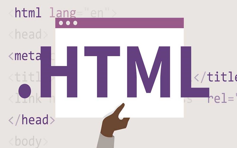 HTML là gì? Những thông tin dễ hiểu nhất về HTML cho người mới bắt đầu