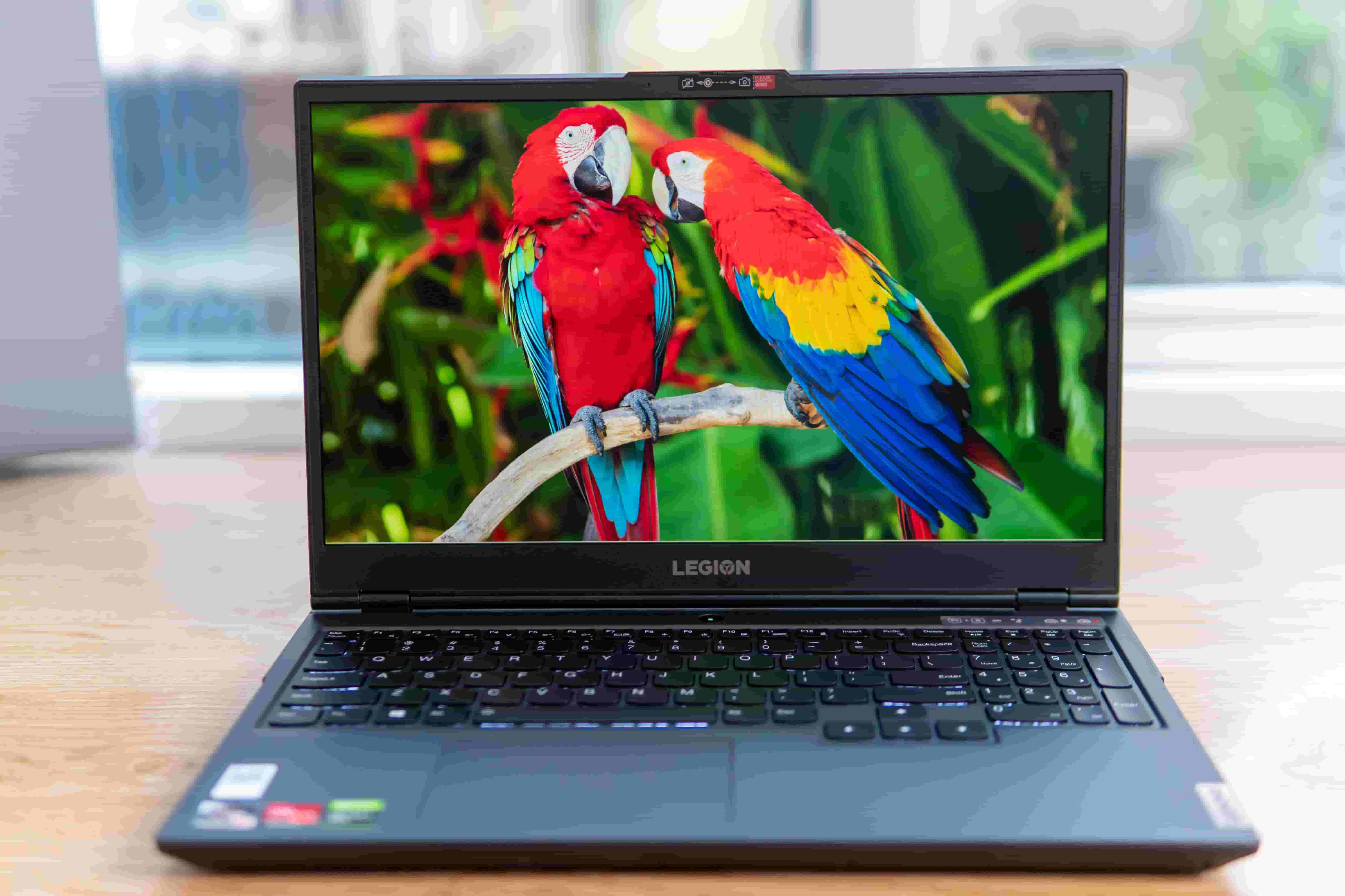 Tại sao laptop gaming 100 sRGB luôn cực HOT trên thị trường?