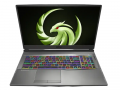 [New 100%] Laptop MSI Alpha 17 A4DEK-021US - AMD Ryzen 7 - 4800H | RX 5600M | 17.3 Inch Full HD