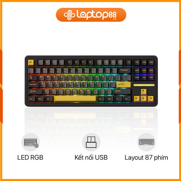 [New 100%] Bàn Phím Cơ AKKO TAC87 Black&Gold ( RGB / Hotswap / USB-C)