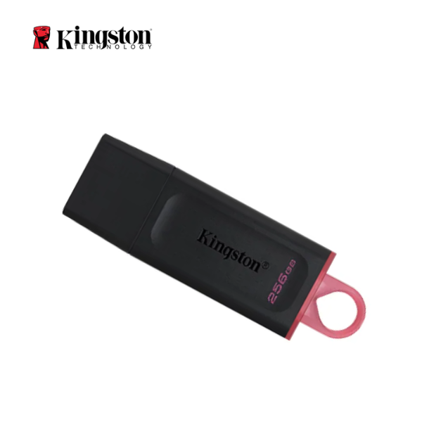 [New 100%] USB 3.2 Kingston DataTraveler Exodia DTX 256GB