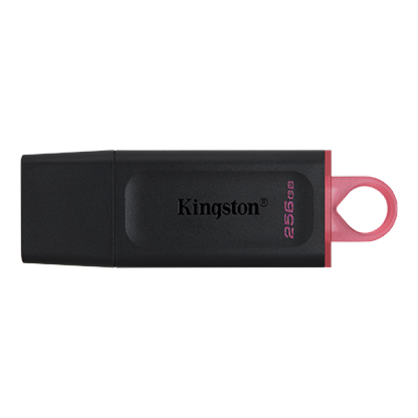 [New 100%] USB 3.2 Kingston DataTraveler Exodia DTX 256GB