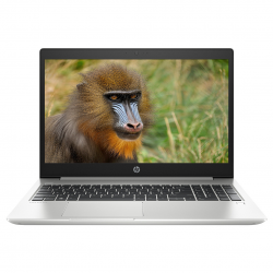 [Mới 100% Full box] Laptop HP Probook 450 G6 6FH07PA - Intel Core i7