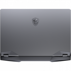 [Mới 100% Full Box] Laptop MSI GE66 10UG-205VN - Intel Core i7