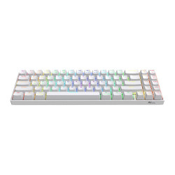 [New 100%] Bàn phím máy tính Royal Kludge RK71 Pro RGB (Bàn phím cơ)