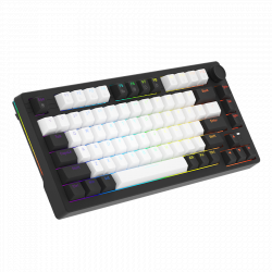 [New 100%] Bàn phím cơ Gaming DAREU EK75 (White - Dream Switch /  White Black - Firefly Switch)