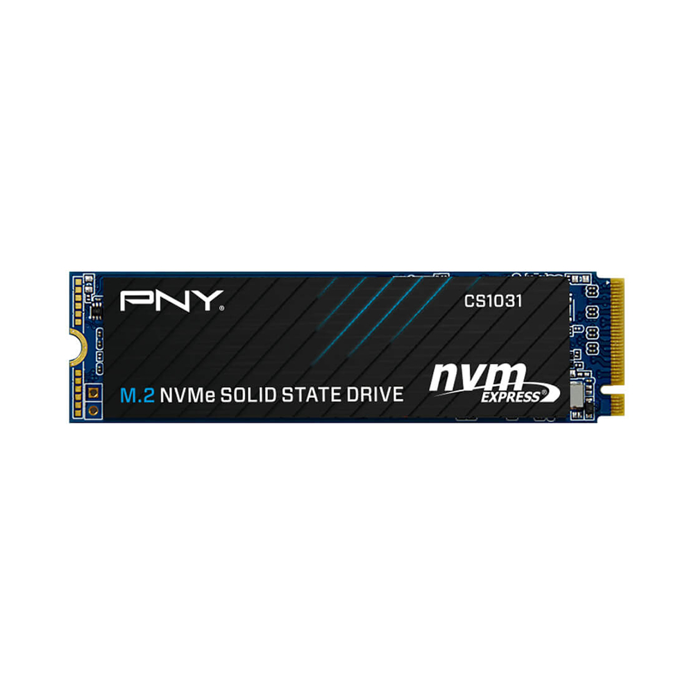 Ổ cứng SSD NVMe 256GB PNY CS1031 - Hàng Chính Hãng
